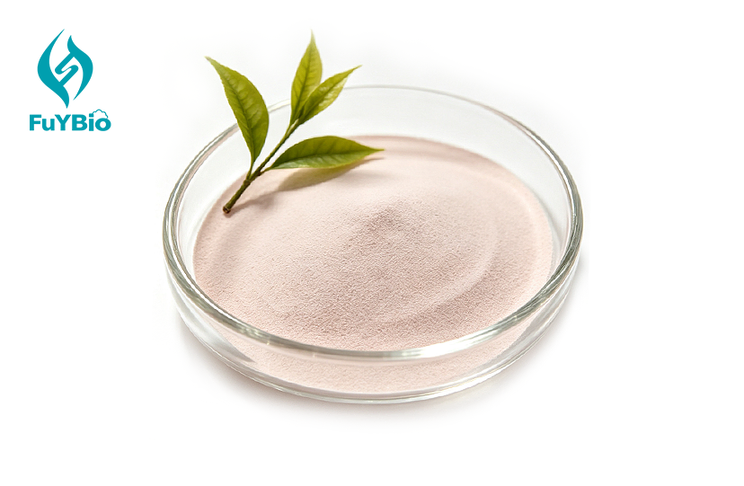 Green Tea EGCG Powder